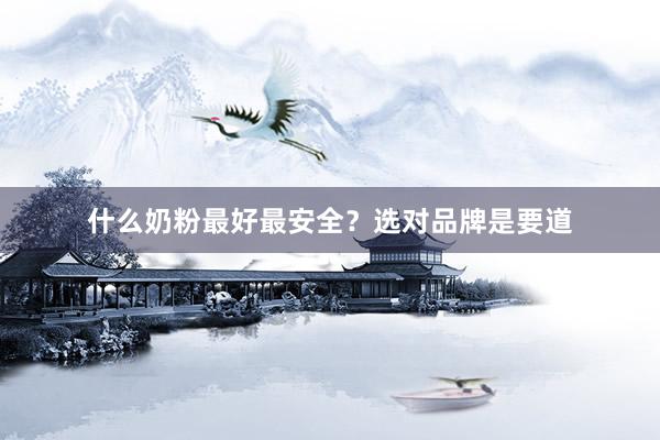 什么奶粉最好最安全？选对品牌是要道